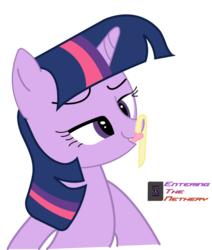 Size: 518x612 | Tagged: safe, artist:enteringthenethery, twilight sparkle, g4, female, solo, spaghetti, wat