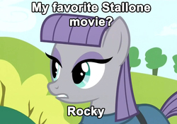 Size: 890x624 | Tagged: safe, maud pie, g4, maud pie (episode), my little pony: friendship is magic, exploitable meme, female, image macro, meme, rock, rock pun, rocky (movie), rocky balboa, solo, sylvester stallone, that pony sure does love rocks