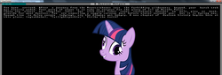 Size: 1920x651 | Tagged: safe, artist:greyone, screencap, twilight sparkle, g4, derp, dwarf fortress, female, grin, pentium iii, rng, smiling, solo, text, wat
