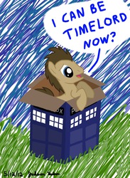 Size: 1408x1920 | Tagged: safe, artist:judhudson, doctor whooves, time turner, g4, doctor who, male, solo, tardis