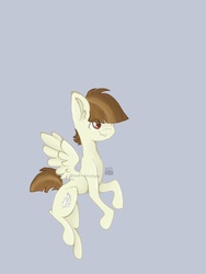 Size: 1536x2048 | Tagged: safe, artist:grayfeather73, featherweight, g4, male, solo