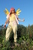 Size: 2848x4272 | Tagged: safe, artist:drako1997, fluttershy, human, g4, cosplay, irl, irl human, photo, solo