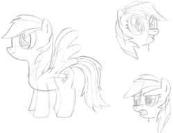 Size: 1556x1193 | Tagged: safe, artist:ideltavelocity, rainbow dash, g4, female, sketch dump, solo, traditional art