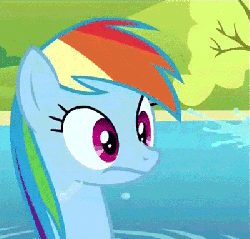 Size: 400x383 | Tagged: safe, screencap, rainbow dash, pony, g4, maud pie (episode), animated, female, open mouth, reaction image, solo, water, wet