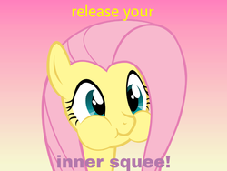 Size: 800x600 | Tagged: safe, fluttershy, g4, cute, female, gradient background, puffy cheeks, shyabetes, solo, squee