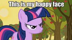 Size: 959x540 | Tagged: safe, edit, edited screencap, screencap, twilight sparkle, pony, unicorn, g4, female, happy face, image macro, meme, pouting, solo, unicorn twilight