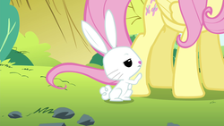 Size: 1280x720 | Tagged: safe, screencap, angel bunny, fluttershy, g4, maud pie (episode), annoyed, bored, hooves