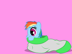 Size: 1024x768 | Tagged: dead source, safe, artist:sawsta, rainbow dash, g4, female, sock, solo