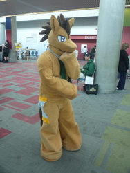 Size: 2736x3648 | Tagged: safe, doctor whooves, time turner, human, g4, cosplay, fursuit, high res, irl, irl human, photo