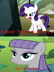 Size: 402x531 | Tagged: safe, maud pie, rarity, g4, maud pie (episode), comic sans, meme