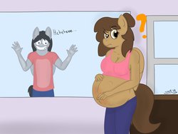 Size: 1280x960 | Tagged: safe, artist:theimmortalwolf, oc, oc only, oc:georgia lockheart, anthro, belly blush, confused, pregnant