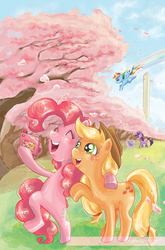 Size: 894x1358 | Tagged: safe, artist:peng-peng, idw, applejack, pinkie pie, rainbow dash, twilight sparkle, pony, g4, bipedal, book, camera, comic cover, cover, cover art, flower, flying, magic, no logo, selfie, textless, washington d.c., washington monument