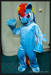 Size: 1388x2048 | Tagged: safe, rainbow dash, human, g4, cosplay, fursuit, irl, irl human, photo