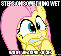 Size: 500x457 | Tagged: safe, fluttershy, g4, female, image macro, meme, solo