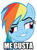 Size: 194x259 | Tagged: artist needed, safe, rainbow dash, g4, derp, female, image macro, me gusta, meme, smugdash, solo