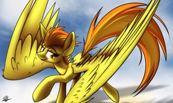 Size: 1280x762 | Tagged: safe, artist:ralek, spitfire, pegasus, pony, g4, cloud, commission, female, flying, impossibly large wings, large wings, looking at you, mare, signature, sky, solo, spread wings, wings