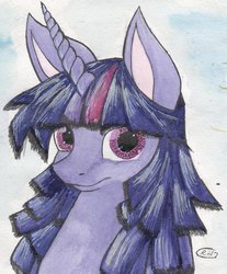 Size: 1024x1239 | Tagged: dead source, safe, artist:alcidence, twilight sparkle, pony, g4, female, solo, traditional art