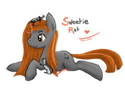 Size: 5488x4003 | Tagged: safe, artist:fluka, oc, oc only, rat, absurd resolution, solo