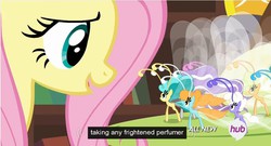 Size: 852x459 | Tagged: safe, screencap, cotton (g4), fluttershy, ghostberry, twirly, breezie, g4, it ain't easy being breezies, hub logo, meme, unnamed breezie, unnamed character, youtube caption