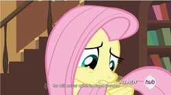 Size: 850x471 | Tagged: safe, screencap, fluttershy, g4, it ain't easy being breezies, female, hub logo, meme, solo, youtube caption