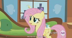 Size: 1152x609 | Tagged: safe, screencap, citrus park, cotton (g4), fluttershy, ghostberry, seabreeze, breezie, g4, it ain't easy being breezies, all new, female, hub logo, male, meme, text, unnamed breezie, unnamed character, youtube caption