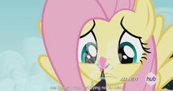 Size: 1150x609 | Tagged: safe, screencap, fluttershy, seabreeze, g4, it ain't easy being breezies, female, hub logo, male, meme, size difference, youtube caption