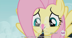 Size: 1150x609 | Tagged: safe, screencap, fluttershy, seabreeze, breezie, pony, g4, it ain't easy being breezies, female, hub logo, male, meme, size difference, youtube caption