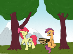 Size: 2448x1816 | Tagged: safe, artist:guanacyrkiel, apple bloom, scootaloo, g4, older, wings