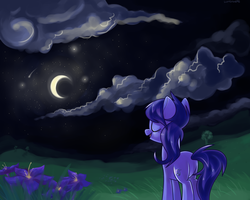 Size: 1280x1024 | Tagged: safe, artist:lunchwere, oc, oc only, cloud, eyes closed, flower, lulla nights, moon, night, solo, stars