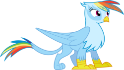 Size: 10656x6000 | Tagged: safe, artist:dasprid, rainbow dash, griffon, g4, absurd resolution, female, griffonized, rainbow griffon, recolor, simple background, solo, species swap, transparent background, vector