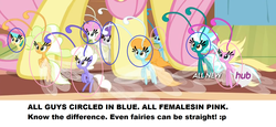 Size: 1898x873 | Tagged: safe, edit, screencap, citrus park, cotton (g4), fluttershy, ghostberry, twinkle (g4), twirly, breezie, g4, it ain't easy being breezies, educational, gender differences in breezies, sexual dimorphism, unnamed breezie, unnamed character