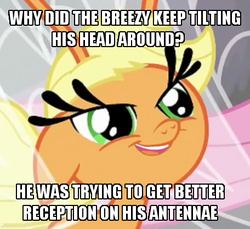 Size: 456x418 | Tagged: safe, applejack, breezie, g4, it ain't easy being breezies, applebreezie, breeziefied, carlos ramón, carlosjack, female, image macro, joke, magic school bus, meme, solo, species swap