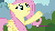 Size: 1920x1080 | Tagged: safe, screencap, fluttershy, pinkie pie, g4, it ain't easy being breezies, animated, female, hub logo