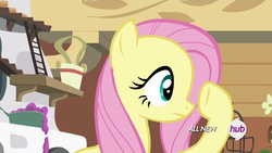 Size: 1280x720 | Tagged: safe, screencap, fluttershy, pony, g4, it ain't easy being breezies, female, hub logo, solo