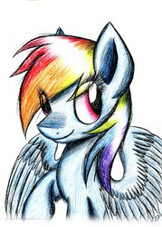 Size: 1024x1430 | Tagged: safe, artist:kobra333, rainbow dash, g4, female, solo, traditional art