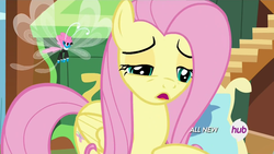 Size: 1920x1080 | Tagged: safe, screencap, fluttershy, seabreeze, g4, it ain't easy being breezies, female, hub logo, male