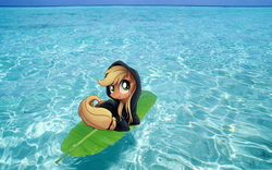 Size: 1920x1200 | Tagged: safe, artist:xioade, edit, applejack, g4, clothes, female, hoodie, leaf, ocean, solo