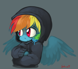 Size: 960x857 | Tagged: safe, artist:xenon, rainbow dash, g4, clothes, female, hoodie, solo