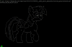 Size: 798x516 | Tagged: safe, twilight sparkle, alicorn, pony, g4, ascii, female, mare, twilight sparkle (alicorn)