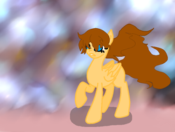 Size: 800x600 | Tagged: safe, artist:mlploverandsoniclover, oc, oc only, oc:gaby, pegasus, pony, female, mare, pegasus oc, royal winged pegasus, solo