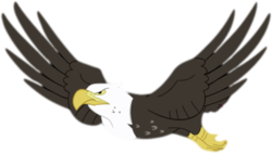 Size: 405x229 | Tagged: safe, artist:valinhya, edit, that friggen eagle, bald eagle, bird, eagle, g4, pinkie apple pie, ambiguous gender, animal, simple background, solo, spread wings, transparent background, vector, wings