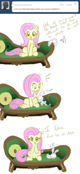 Size: 649x1400 | Tagged: safe, artist:askumfluttershy, angel bunny, fluttershy, ask fluttershy, g4, ask, tumblr