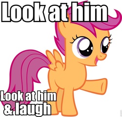 Size: 960x923 | Tagged: safe, scootaloo, g4, female, image macro, meme, reaction image, roflbot, simple background, solo, vector, white background