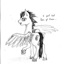 Size: 949x842 | Tagged: safe, artist:php64, oc, oc only, pegasus, pony, monochrome, solo, taco, traditional art, wings