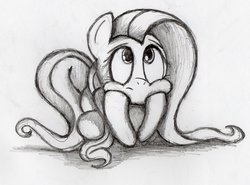 Size: 1024x759 | Tagged: safe, artist:otto720, fluttershy, g4, female, monochrome, solo