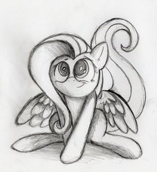 Size: 852x938 | Tagged: safe, artist:otto720, fluttershy, g4, female, monochrome, solo