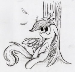 Size: 914x873 | Tagged: safe, artist:otto720, rainbow dash, g4, female, monochrome, rainbow crash, solo