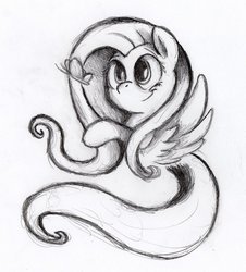 Size: 849x940 | Tagged: safe, artist:otto720, fluttershy, g4, female, monochrome, solo