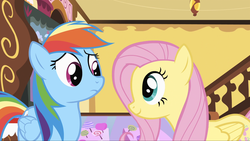 Size: 2048x1153 | Tagged: safe, screencap, fluttershy, rainbow dash, pegasus, pony, g4, the cutie mark chronicles, cute, dashabetes, eye contact, female, looking at each other, mare, smiling