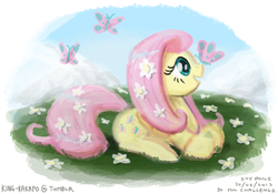 Size: 1000x701 | Tagged: safe, artist:king-kakapo, fluttershy, butterfly, pegasus, pony, g4, butterfly on nose, female, flower, flower in hair, insect on nose, solo